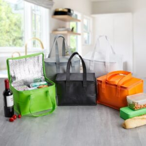Bolsa Térmica 6 Litros. JB 02399
